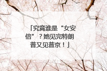 究竟谁是“女安倍”？她见完特朗普又见普京！
