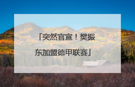 突然官宣！樊振东加盟德甲联赛