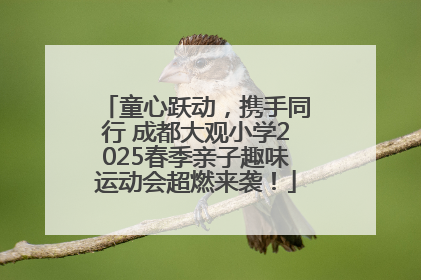 童心跃动，携手同行 成都大观小学2025春季亲子趣味运动会超燃来袭！