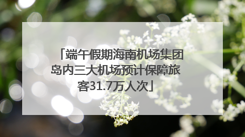 端午假期海南机场集团岛内三大机场预计保障旅客31.7万人次