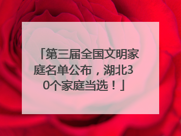第三届全国文明家庭名单公布，湖北30个家庭当选！