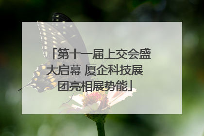 第十一届上交会盛大启幕 厦企科技展团亮相展势能