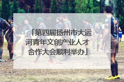 第四届扬州市大运河青年文创产业人才合作大会顺利举办