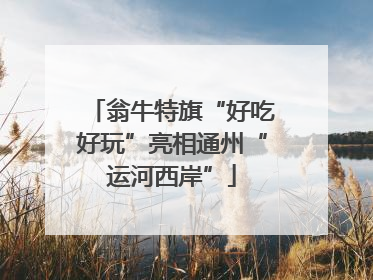 翁牛特旗“好吃好玩”亮相通州“运河西岸”
