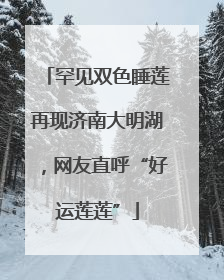罕见双色睡莲再现济南大明湖，网友直呼“好运莲莲”