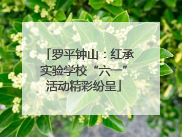 罗平钟山：红承实验学校“六一”活动精彩纷呈