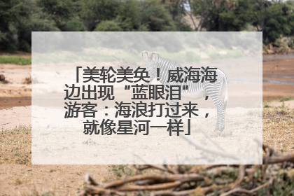 美轮美奂！威海海边出现“蓝眼泪”，游客：海浪打过来，就像星河一样