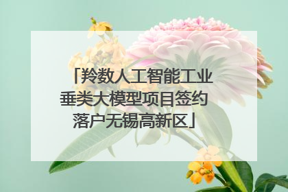 羚数人工智能工业垂类大模型项目签约落户无锡高新区