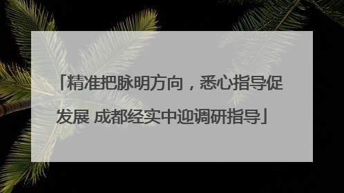 精准把脉明方向，悉心指导促发展 成都经实中迎调研指导