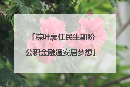 粽叶裹住民生期盼 公积金融通安居梦想