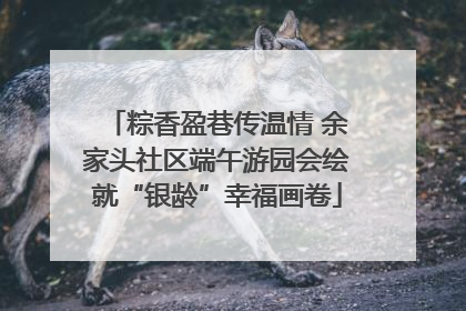 粽香盈巷传温情 余家头社区端午游园会绘就“银龄”幸福画卷