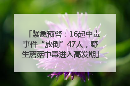 紧急预警：16起中毒事件“放倒”47人，野生蘑菇中毒进入高发期