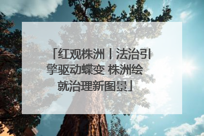 红观株洲丨法治引擎驱动蝶变 株洲绘就治理新图景
