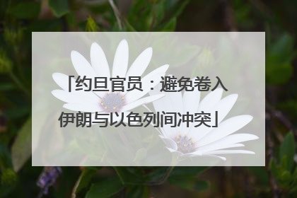 约旦官员：避免卷入伊朗与以色列间冲突