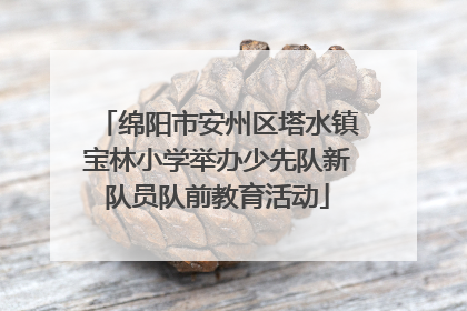 绵阳市安州区塔水镇宝林小学举办少先队新队员队前教育活动