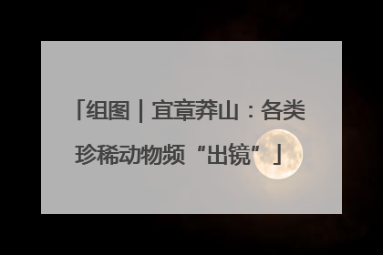 组图｜宜章莽山：各类珍稀动物频“出镜”