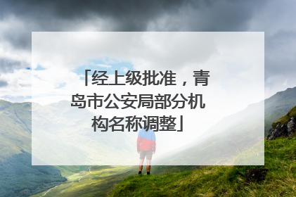 经上级批准，青岛市公安局部分机构名称调整