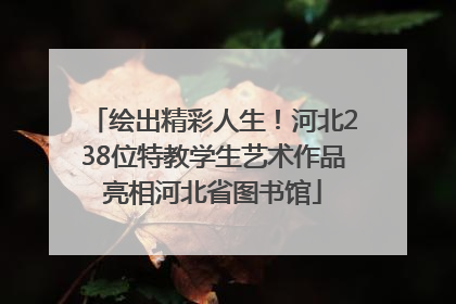 绘出精彩人生！河北238位特教学生艺术作品亮相河北省图书馆