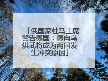 俄国家杜马主席警告德国：德向乌供武将成为两国发生冲突原因
