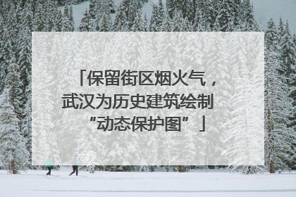 保留街区烟火气，武汉为历史建筑绘制“动态保护图”