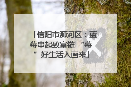 信阳市浉河区：蓝莓串起致富链 “莓”好生活入画来
