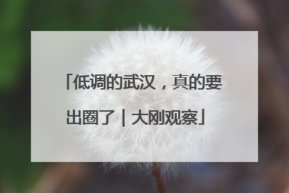 低调的武汉，真的要出圈了｜大刚观察