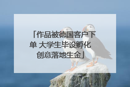 作品被德国客户下单 大学生毕设孵化创意落地生金