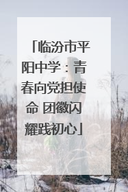 临汾市平阳中学：青春向党担使命 团徽闪耀践初心
