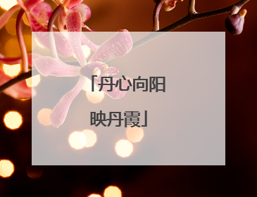 丹心向阳映丹霞