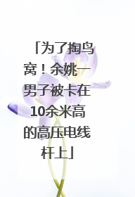为了掏鸟窝！余姚一男子被卡在10余米高的高压电线杆上