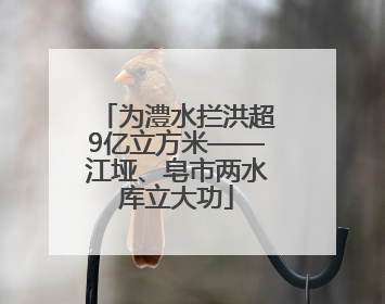 为澧水拦洪超9亿立方米——江垭、皂市两水库立大功
