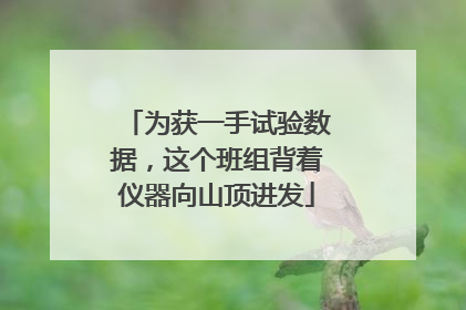 为获一手试验数据，这个班组背着仪器向山顶进发