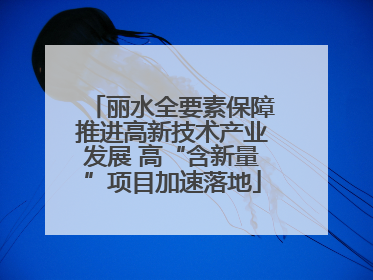 丽水全要素保障推进高新技术产业发展 高“含新量”项目加速落地