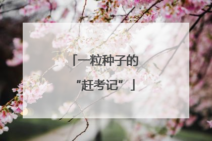一粒种子的“赶考记”