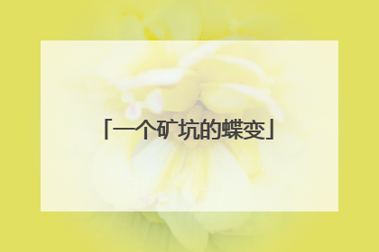 一个矿坑的蝶变