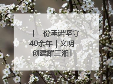 一份承诺坚守40余年｜文明创建耀三湘