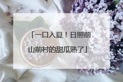 一口入夏！日照前山前村的甜瓜熟了