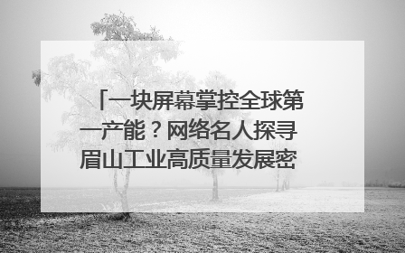 一块屏幕掌控全球第一产能？网络名人探寻眉山工业高质量发展密码｜网络名人四川行