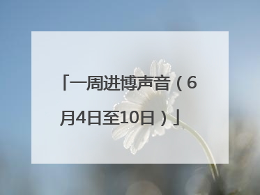 一周进博声音（6月4日至10日）