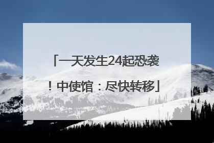 一天发生24起恐袭！中使馆：尽快转移