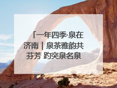 一年四季·泉在济南｜泉茶雅韵共芬芳 趵突泉名泉茗茶品鉴会举行