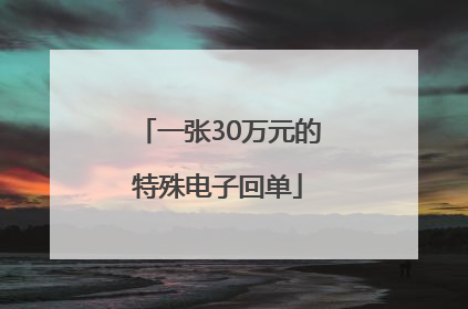一张30万元的特殊电子回单