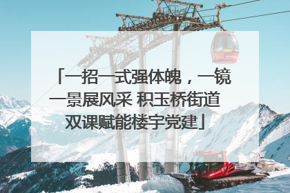 一招一式强体魄，一镜一景展风采 积玉桥街道双课赋能楼宇党建