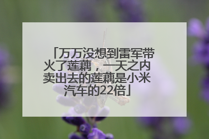 万万没想到雷军带火了莲藕，一天之内卖出去的莲藕是小米汽车的22倍