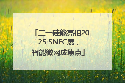 三一硅能亮相2025 SNEC展，智能微网成焦点