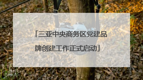三亚中央商务区党建品牌创建工作正式启动