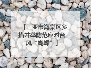 三亚市海棠区多措并举防范应对台风“蝴蝶”