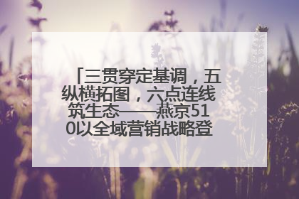 三贯穿定基调，五纵横拓图，六点连线筑生态——燕京510以全域营销战略登顶行业IP新高度