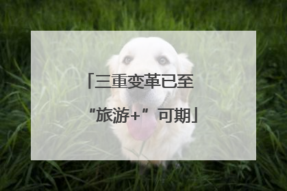 三重变革已至 “旅游+”可期