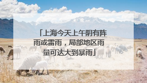 上海今天上午阴有阵雨或雷雨，局部地区雨量可达大到暴雨